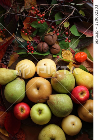 リンゴと梨2 120002203