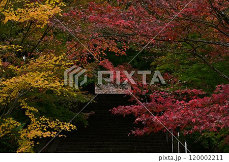 秋の景徳山安国寺 120002211