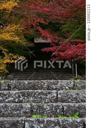 秋の景徳山安国寺 120002213