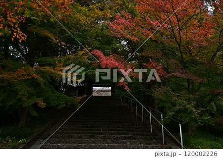 秋の景徳山安国寺 120002226
