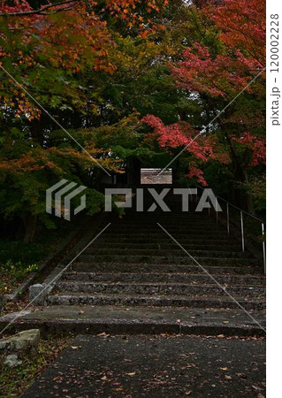 秋の景徳山安国寺 120002228
