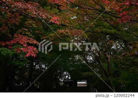 秋の景徳山安国寺 秋の景徳山安国寺 120002244