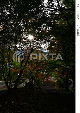 秋の景徳山安国寺 秋の景徳山安国寺 120002245