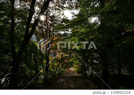 秋の景徳山安国寺 120002250