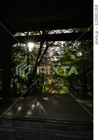 秋の景徳山安国寺 120002269