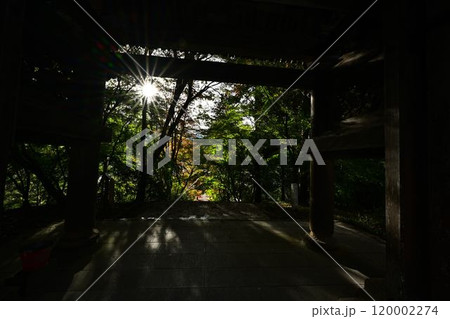秋の景徳山安国寺 120002274