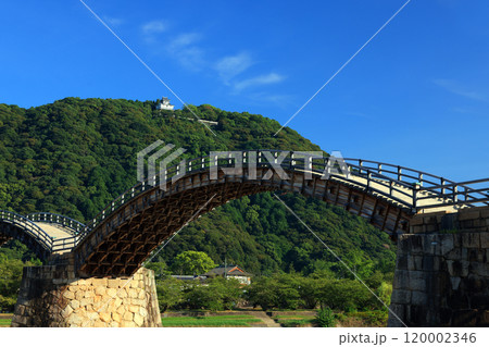 岩国 錦帯橋4406 岩国 錦帯橋4406 120002346