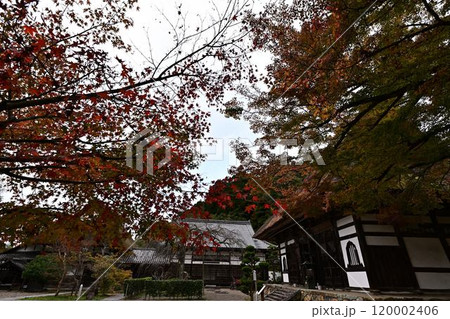 秋の景徳山安国寺 120002406
