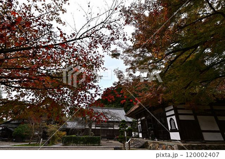秋の景徳山安国寺 秋の景徳山安国寺 120002407