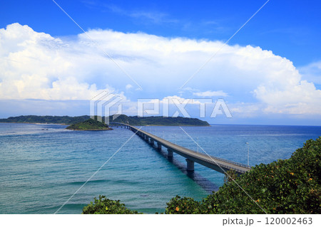 角島大橋5105 角島大橋5105 120002463