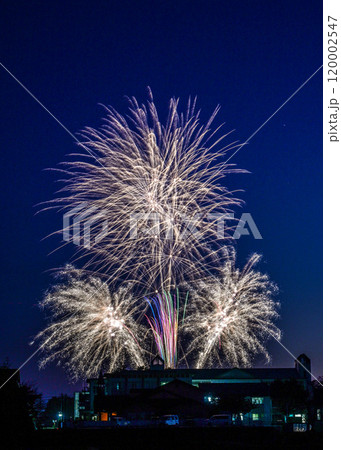 びわ湖学院大学紅葉賀祭　校舎の華の様に 120002547