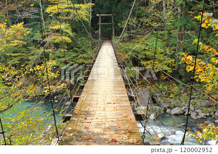 秋山郷　秋の見倉橋 120002952