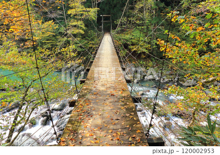 秋山郷　秋の見倉橋 120002953