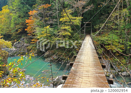 秋山郷　秋の見倉橋 120002954