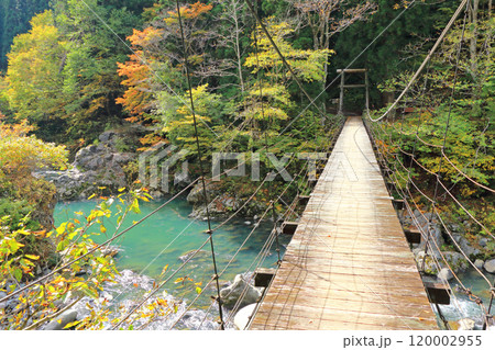 秋山郷　秋の見倉橋 120002955