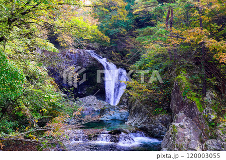 紅葉に染まる関山大滝 紅葉に染まる関山大滝 120003055