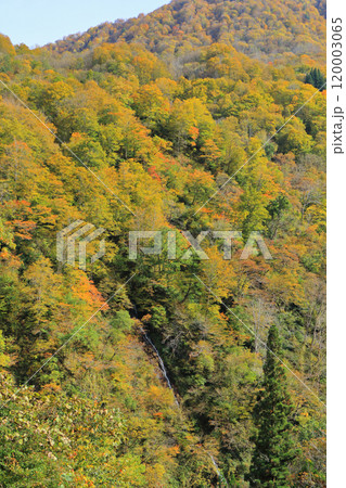 秋の秋山郷 紅葉と滝 秋の秋山郷 紅葉と滝 120003065
