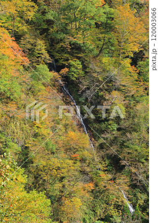 秋の秋山郷 紅葉と滝 秋の秋山郷 紅葉と滝 120003066
