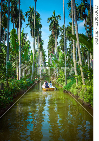 Asian family kayaking on the river in a beautiful place outside Bangkok with jungle-like environment. Asian family kayaking on the river in a beautiful place outside Bangkok with jungle-like environment. 120003617