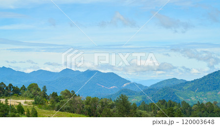Breathtaking panoramic landscape of mountains covered with forest under blue sky 120003648