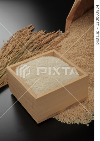 玄米白米 120003834