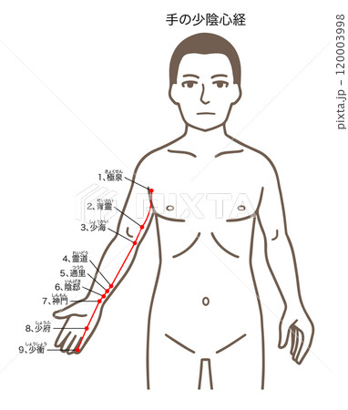 鍼灸の経穴、手の少陰心経、ツボのイラスト 120003998