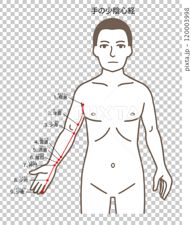 鍼灸の経穴、手の少陰心経、ツボのイラスト 120003998