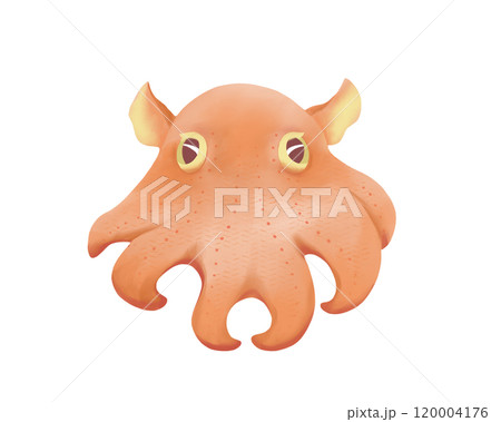 かわいいメンダコの水彩イラストのイラスト素材 [120004176] - PIXTA