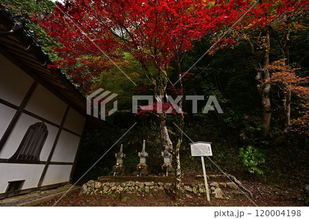 秋の景徳山安国寺 120004198