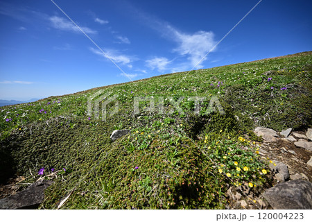 平標山、仙ノ倉山登山、群馬県 120004223