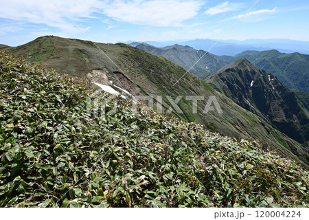 平標山、仙ノ倉山登山、群馬県 120004224