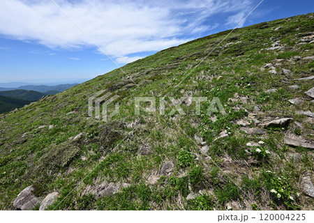 平標山、仙ノ倉山登山、群馬県 120004225