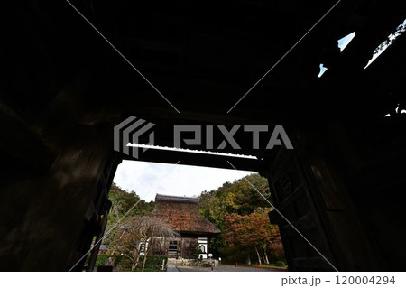 秋の景徳山安国寺 120004294