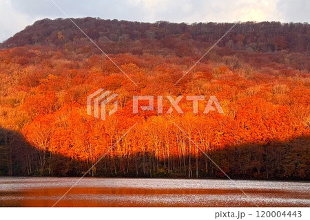 早朝の朝に潜まる蔦沼の紅葉 早朝の朝に潜まる蔦沼の紅葉 120004443