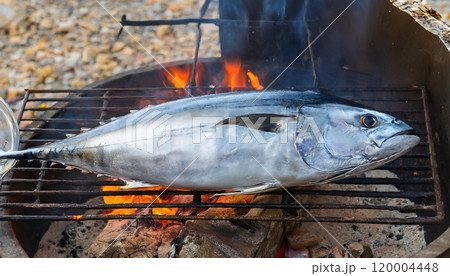 Whole fresh tuna grilled on a charcoal grill. 120004448