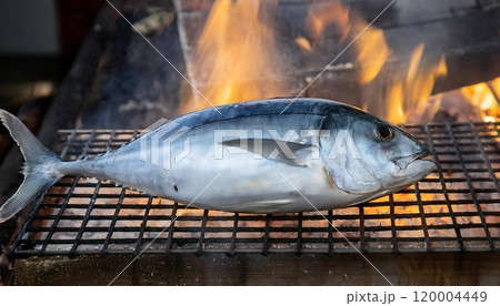 Whole fresh tuna grilled on a charcoal grill. 120004449