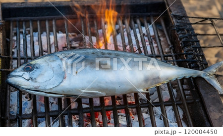 Whole fresh tuna grilled on a charcoal grill. Whole fresh tuna grilled on a charcoal grill. 120004450