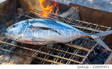 Whole fresh tuna grilled on a charcoal grill. Whole fresh tuna grilled on a charcoal grill. 120004451