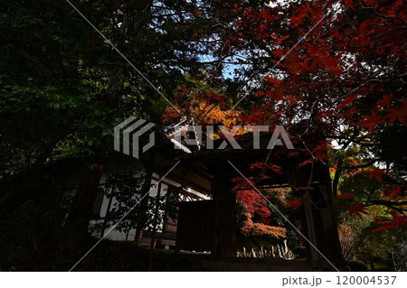 秋の景徳山安国寺 秋の景徳山安国寺 120004537