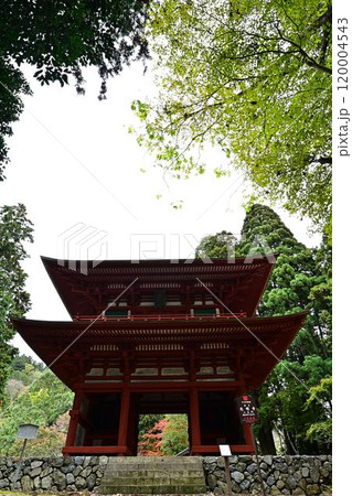 秋の光明寺二王門 秋の光明寺二王門 120004543