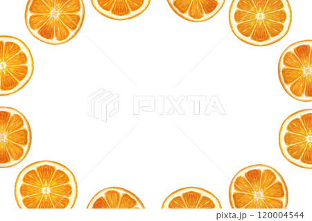 Bright citrus, orange slice oval frame in watercolor isolated on white background. High quality hand drawn art for packages, cards, posters, banners, menu, food logo, Christmas decor and design 120004544