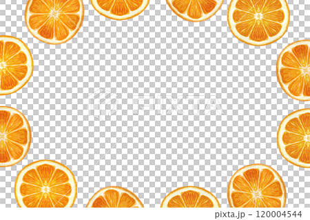 Bright citrus, orange slice oval frame in watercolor isolated on white background. High quality hand drawn art for packages, cards, posters, banners, menu, food logo, Christmas decor and design 120004544
