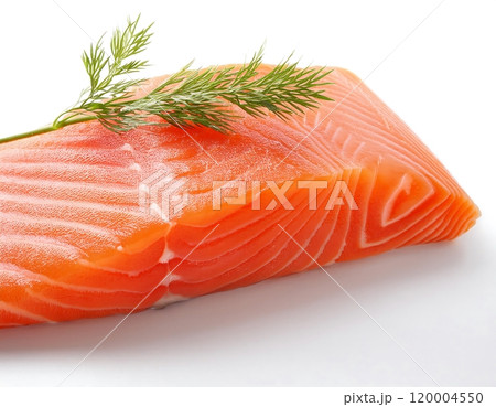a fresh salmon fillet with a sprig a fresh salmon fillet with a sprig 120004550