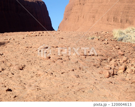 エアーズロックの地面 エアーズロックの地面 120004613