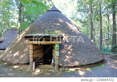 松戸市立博物館 縄文の森 復元竪穴住居 千葉県松戸市千駄堀 松戸市制50周年記念 21世紀の森と広場 松戸市立博物館 縄文の森 復元竪穴住居 千葉県松戸市千駄堀 松戸市制50周年記念 21世紀の森と広場 120004722
