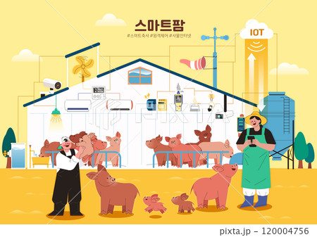 a cattle breeder who manages pigs in an automated remote control shed 120004756