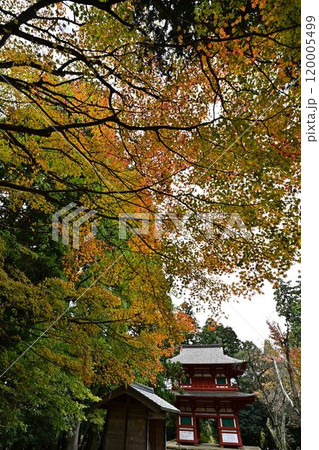 秋の光明寺二王門 120005499