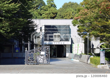 松戸市立博物館　千葉県松戸市千駄堀　松戸市制50周年記念　21世紀の森と広場 120006460