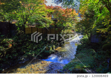 秋の法師川 120006469