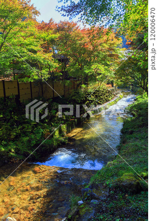 秋の法師川(秋) 秋の法師川(秋) 120006470